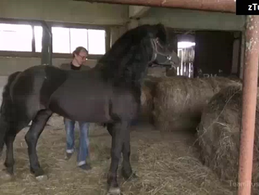 Chú Ngựa Được Địt Em Gái Teen Mới Lớn Lồn Cực Dâm