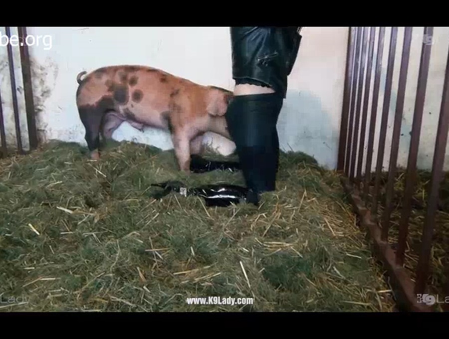Pretty Drunk Girl Goes Into The Pig Barn And Wants To Fuck
